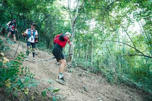 BIB: 
                            <button type="button" onclick="openModal(28161095)" class="btn btn-primary btn-sm float-right btn-popup" data-toggle="modal" data-target=".modal-high-quality">
                        <i class="fas fa-shopping-cart"></i> Add to Cart
                    </button>
                                            <button type="button" onclick="isThisMe(28161095, true)" class="btn btn-success btn-sm float-right btn-popup btn-isme hidden" data-toggle="tooltip" data-placement="bottom" title="นี่คือรูปของคุณใช่ไหม คลิกที่นี่เพื่อเอาเข้าอัลบั้ม">
                        <i class="fas fa-plus"></i> Add to album
                    </button>
                    <button type="button" onclick="isThisMe(28161095, false)" class="btn btn-warning btn-sm float-right btn-popup btn-isnotme hidden">
                        <i class="fas fa-ban"></i> Remove from album
                    </button>